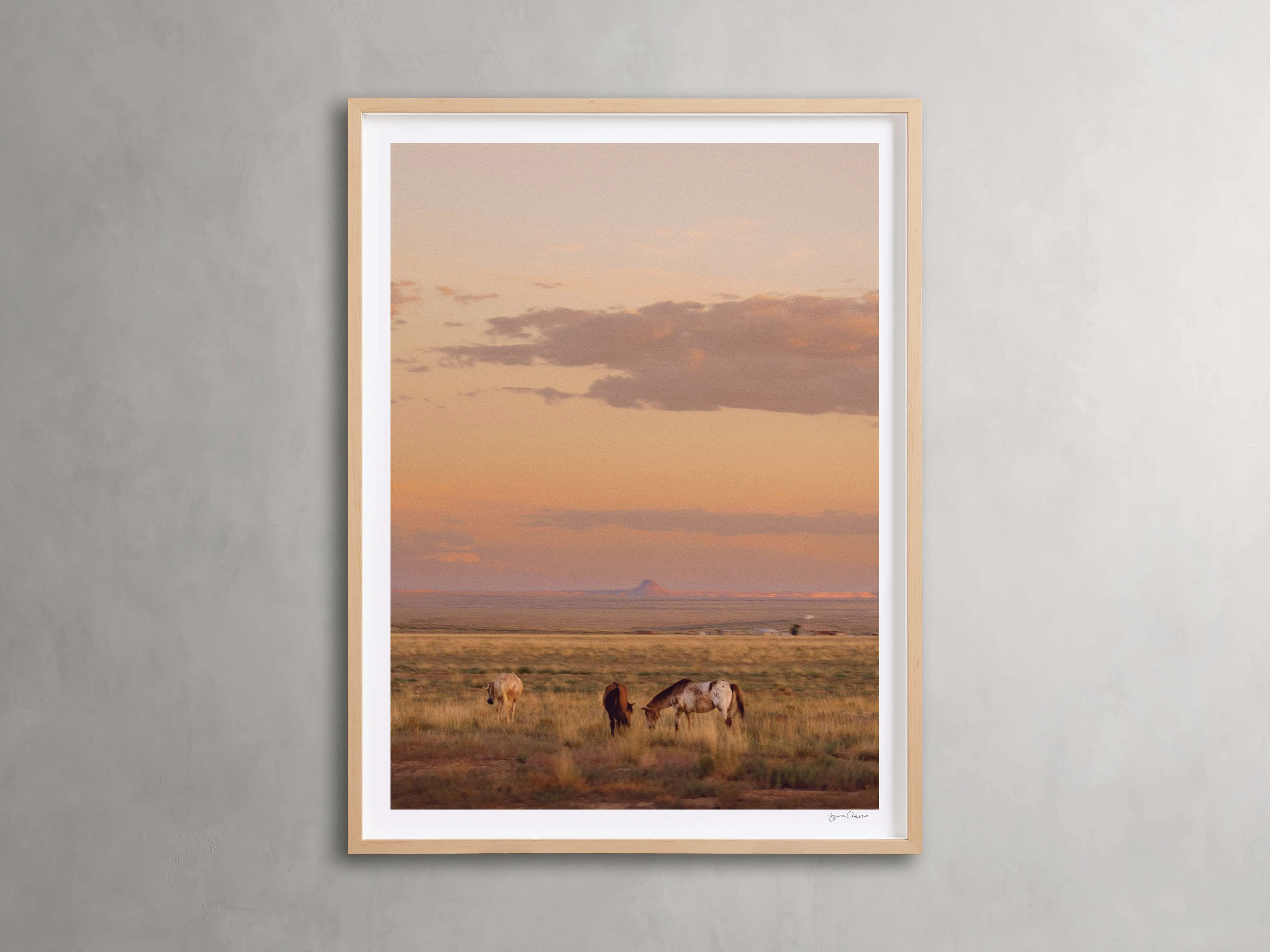 The Great Plains IV Framed Print
