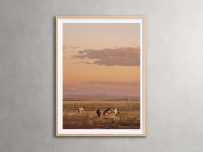 The Great Plains IV Framed Print