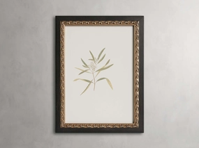 Thistle Framed Print