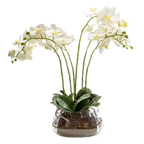Timeless Lifelike White Orchid in Clear Glass Fishbowl