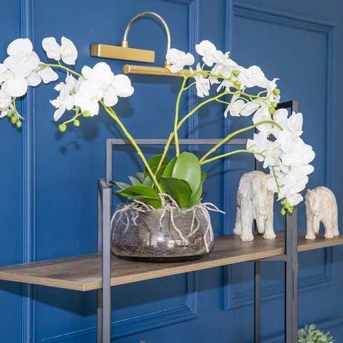 Timeless Lifelike White Orchid in Clear Glass Fishbowl