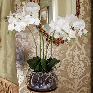 Timeless Lifelike White Orchid in Clear Glass Fishbowl kitchen essentials, utensils set