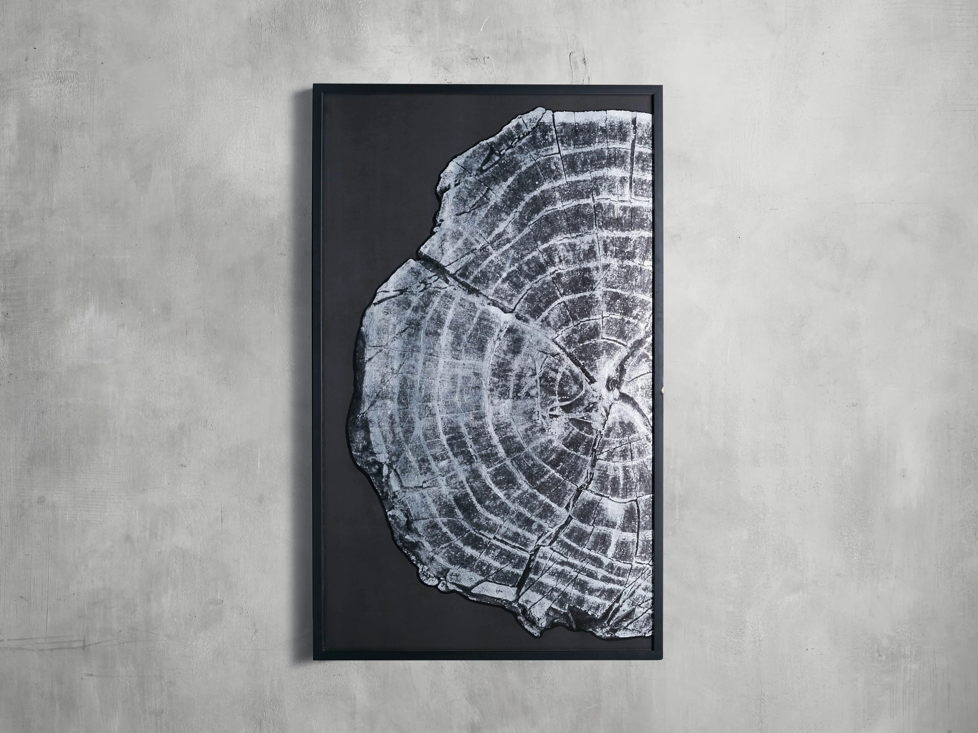 Tree Ring I Framed Print