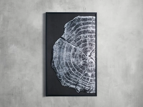 Tree Ring I Framed Print