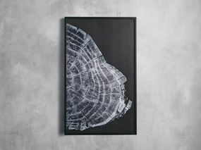 Tree Ring II Framed Print