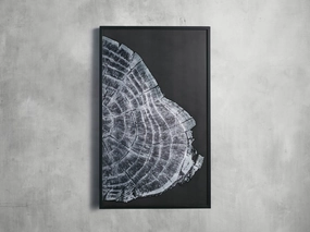 Tree Ring II Framed Print