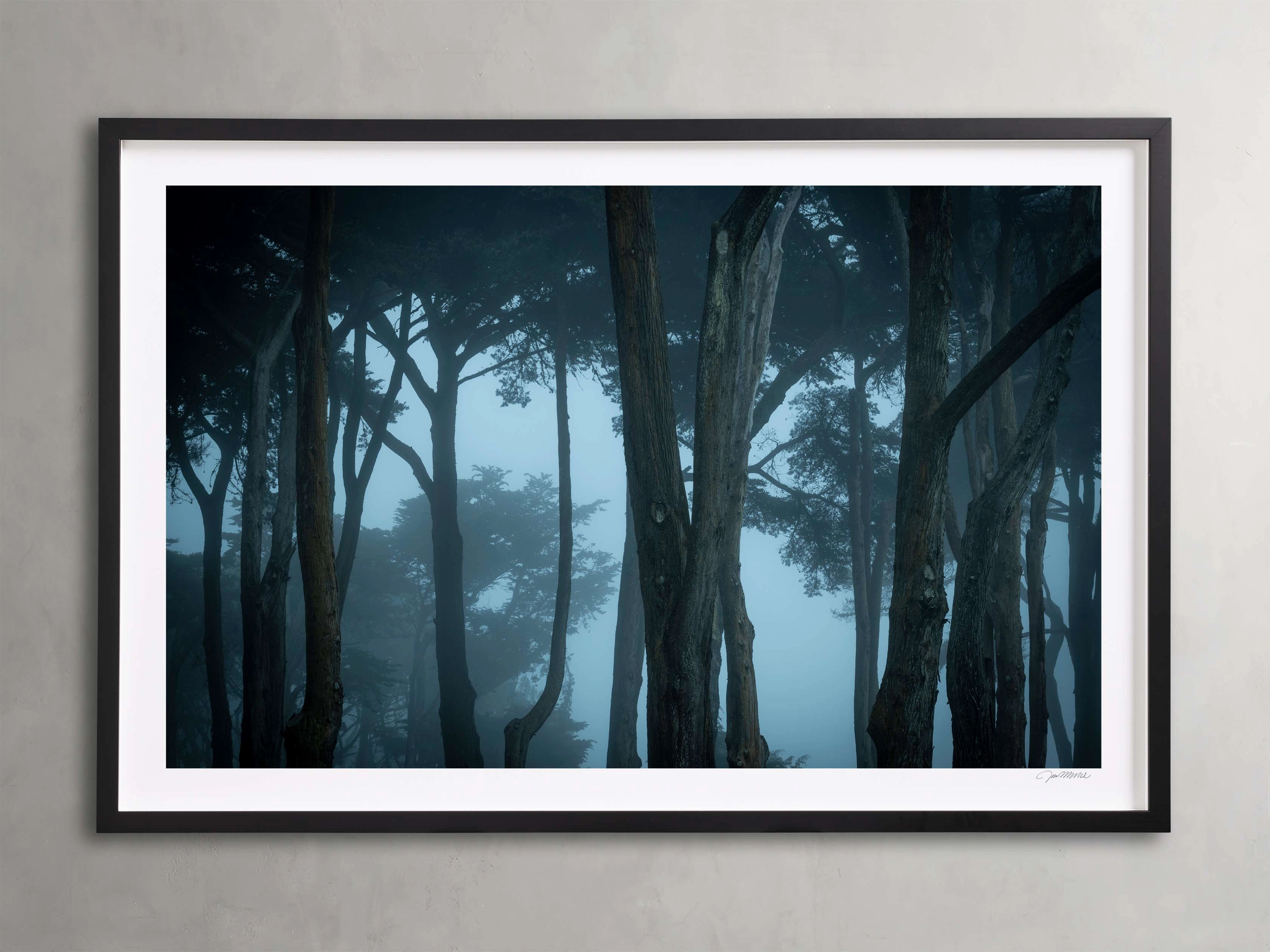Trees & Shadows I Framed Print