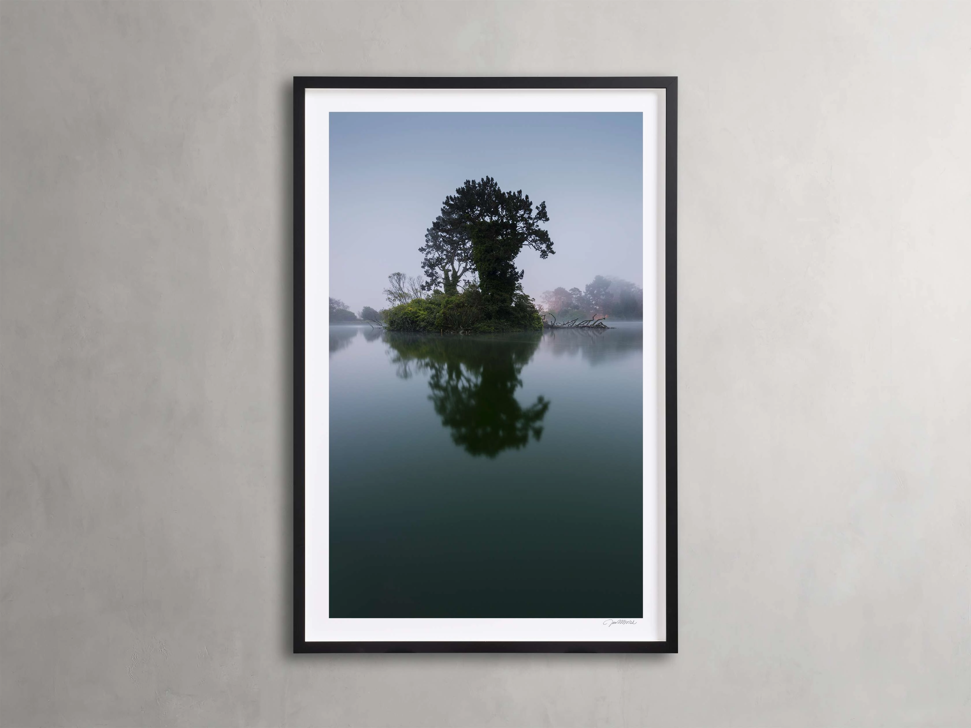Trees & Shadows II Framed Print