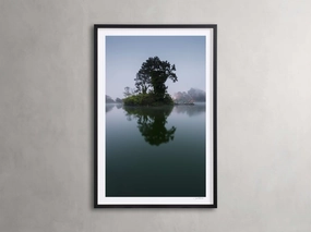 Trees & Shadows II Framed Print