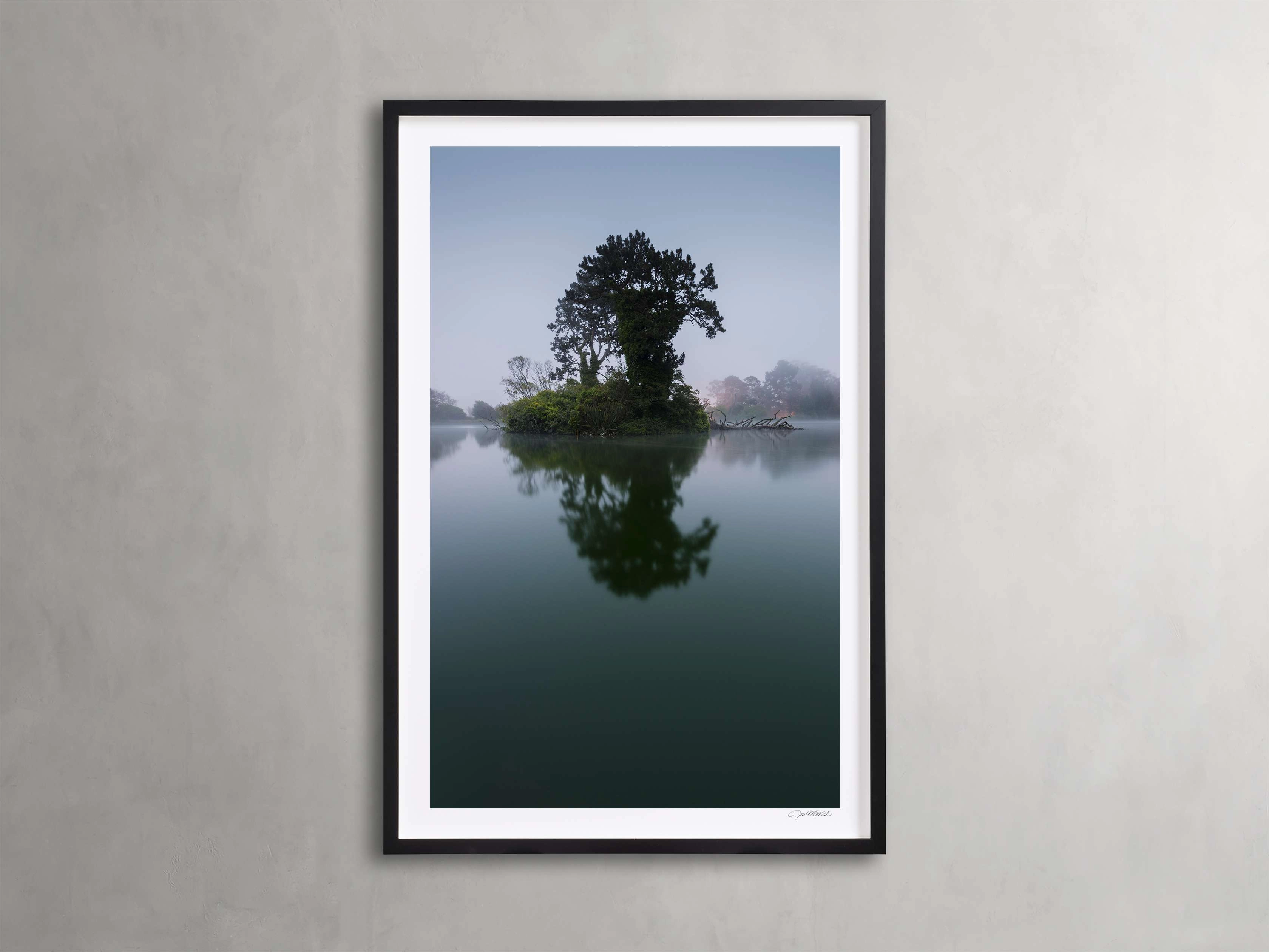 Trees & Shadows II Framed Print