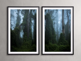 Trees & Shadows III Framed Print (Set of 2)