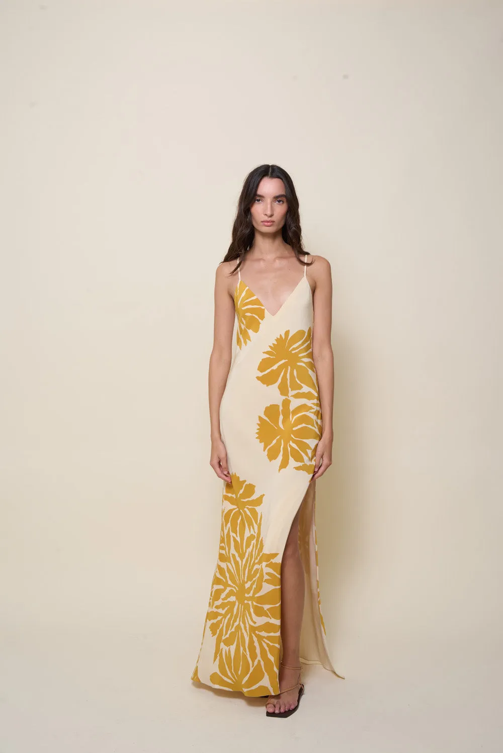 Tropical Harmony Dress