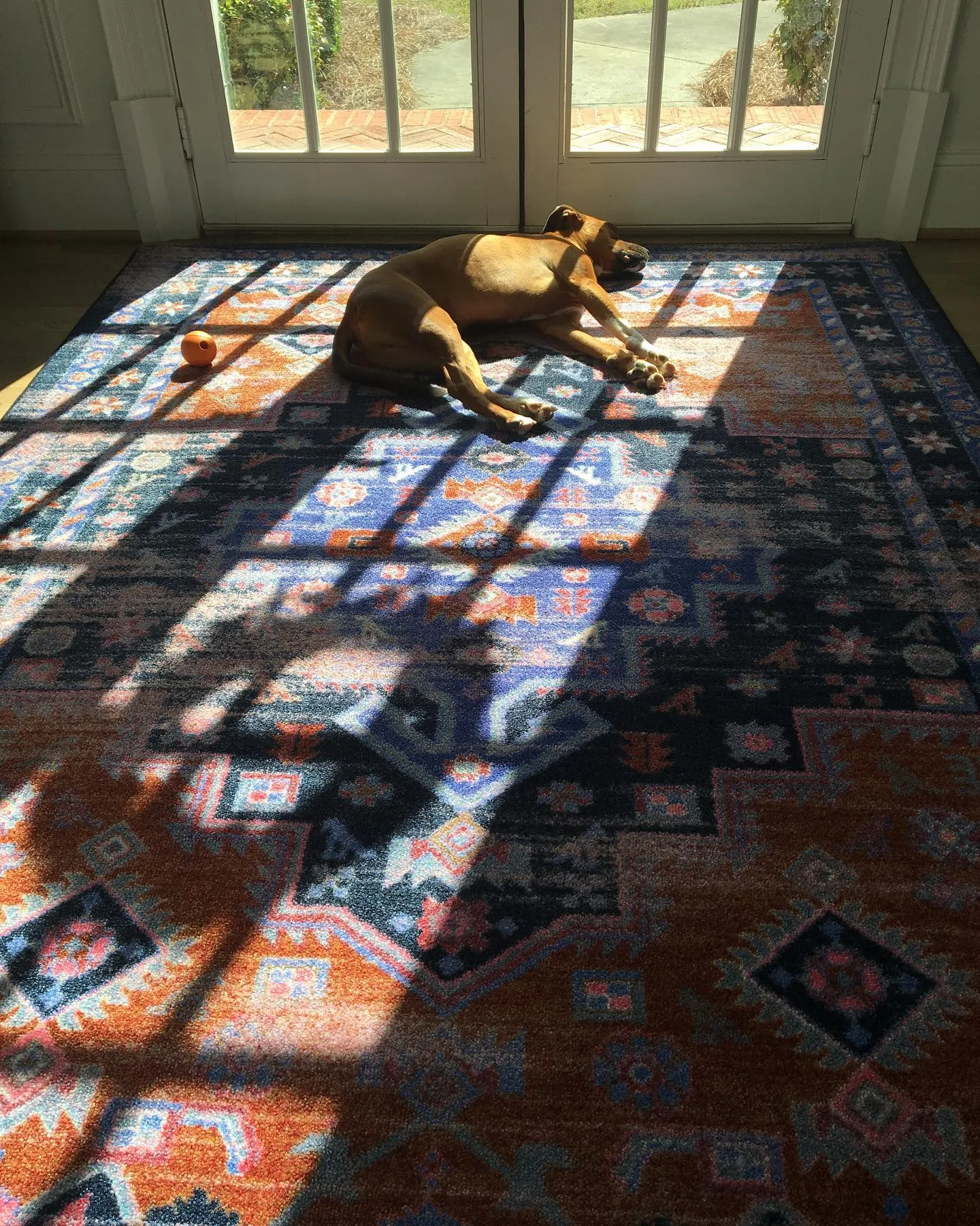 Turkish Nights Area Rugs - Multi Purple