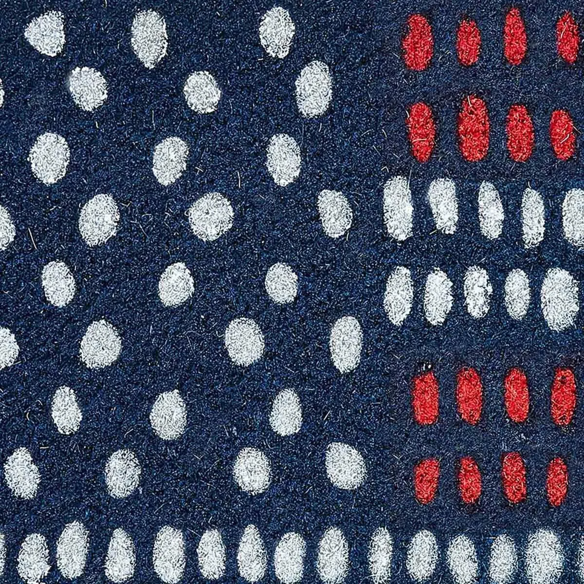USA Flags Doormat