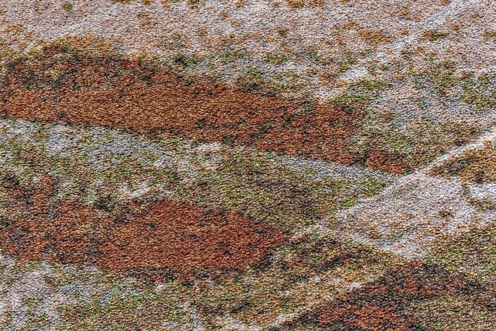 Wastelands Earth Area Rugs
