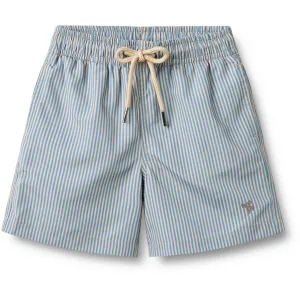 Wheat Blue Swim Stripe Swim Trunk Hansi