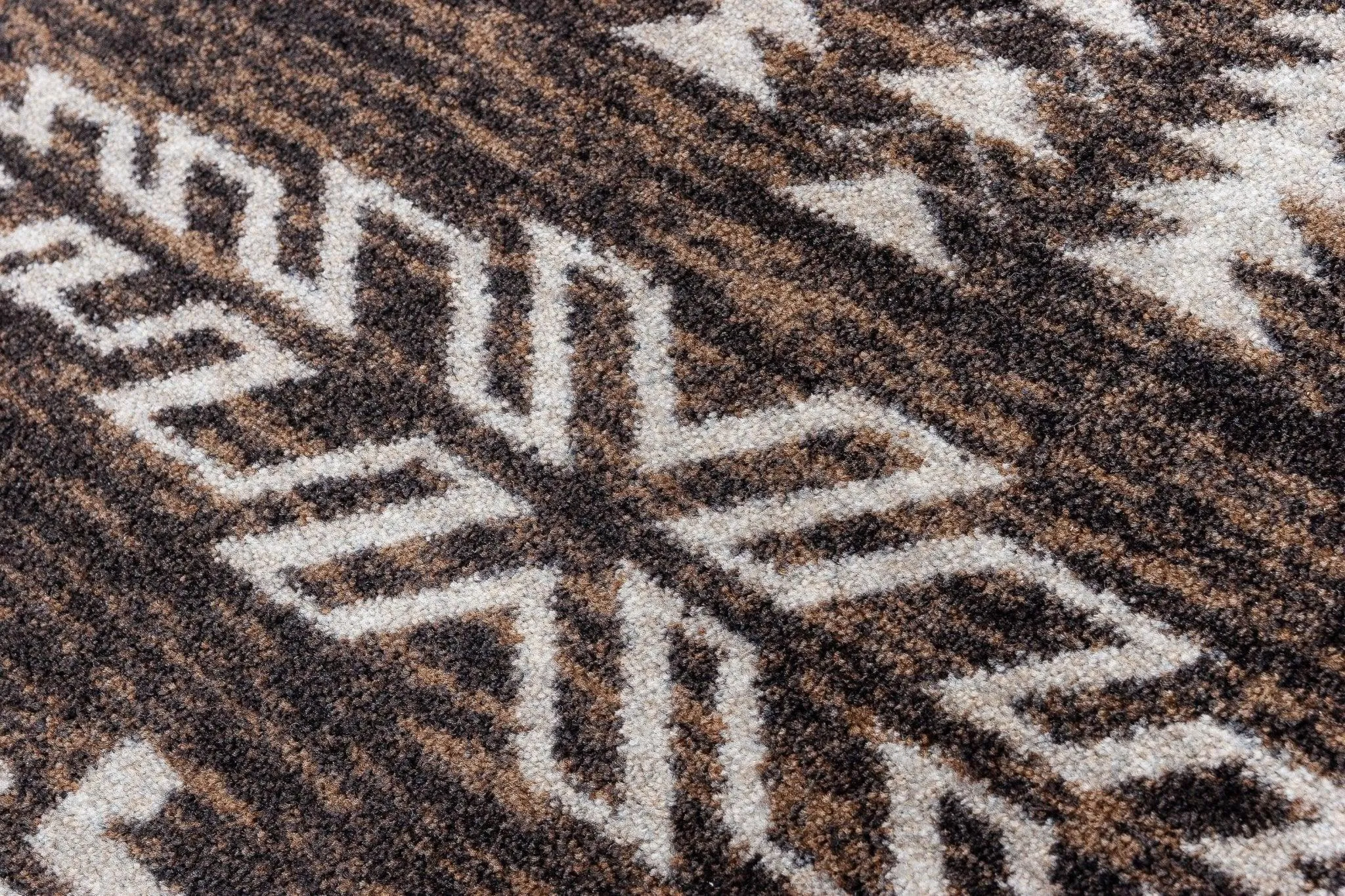 Wild Whiskey Area Rugs in Chocolate