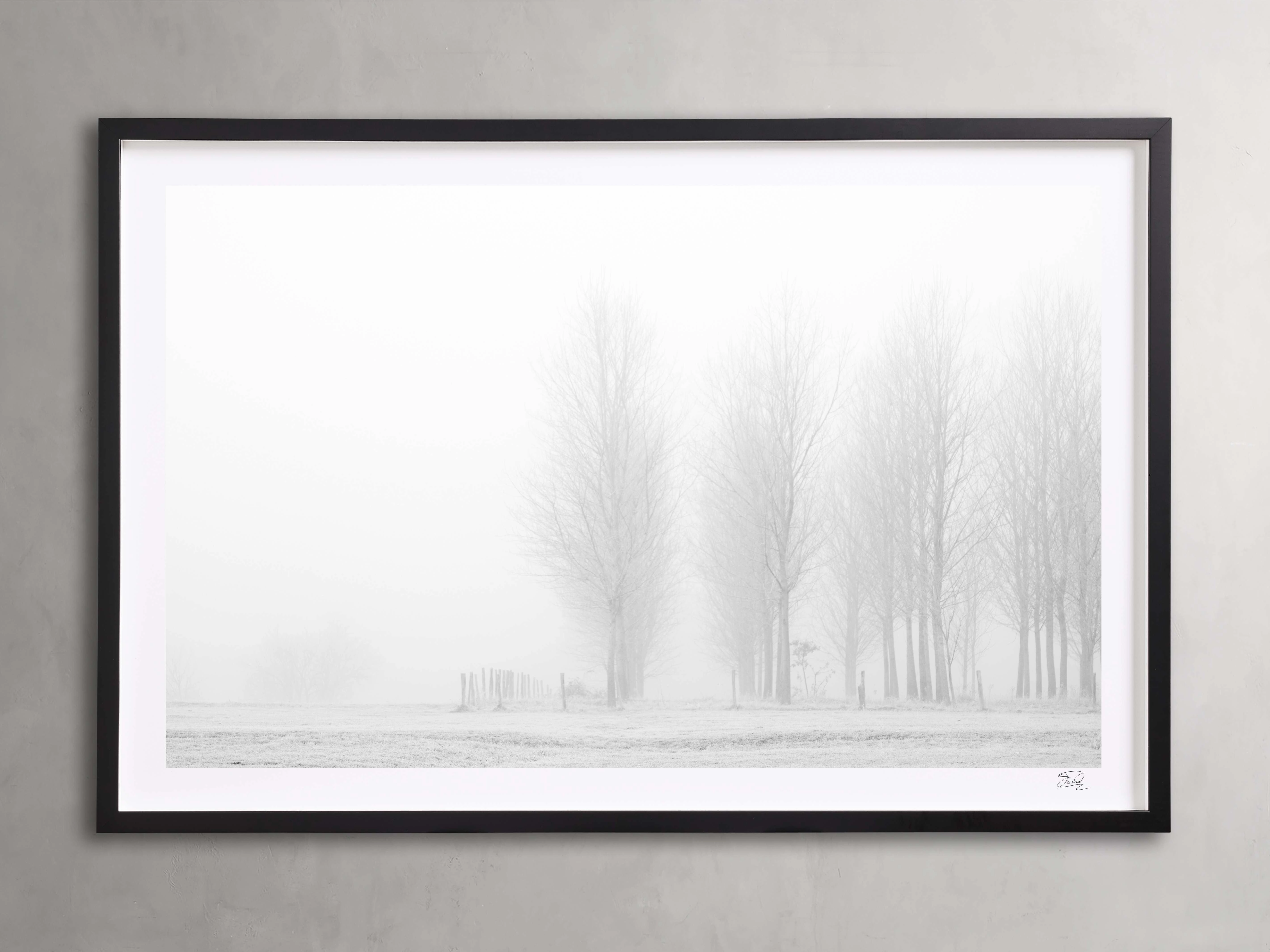 Winter I Framed Print