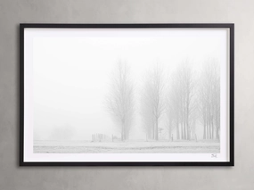 Winter I Framed Print