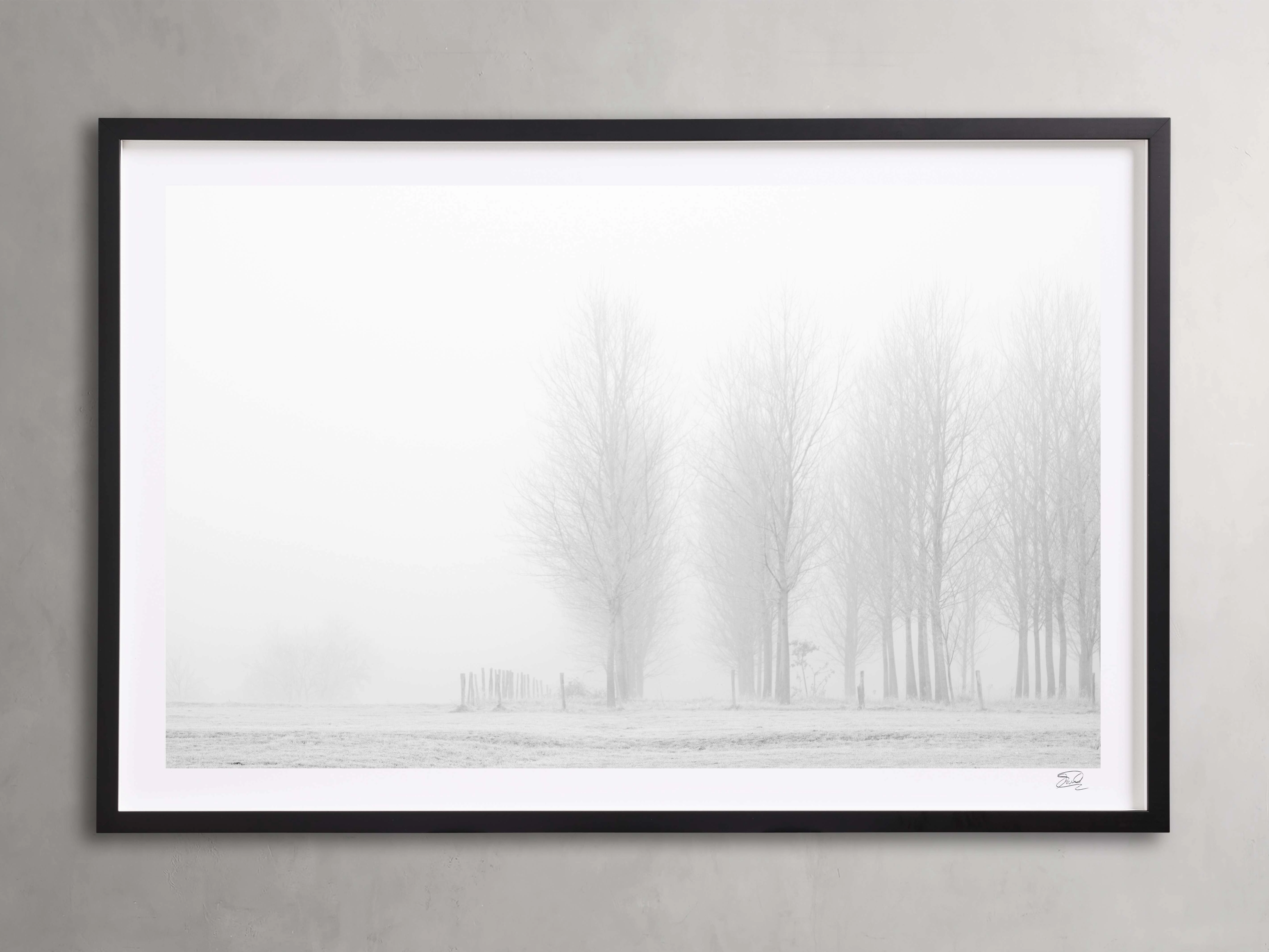 Winter I Framed Print