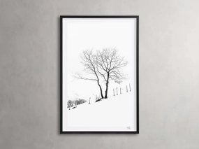 Winter II Framed Print