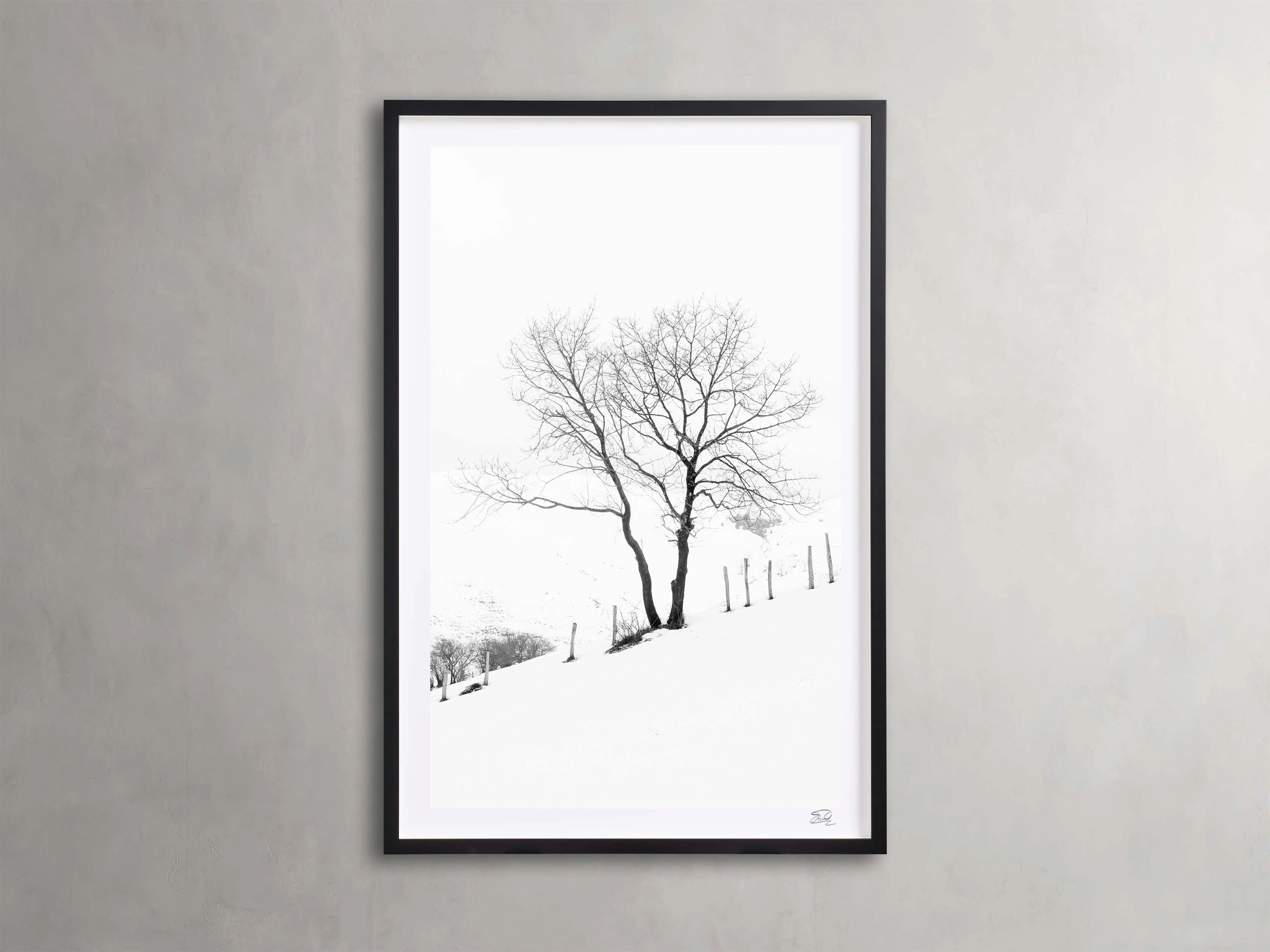 Winter II Framed Print