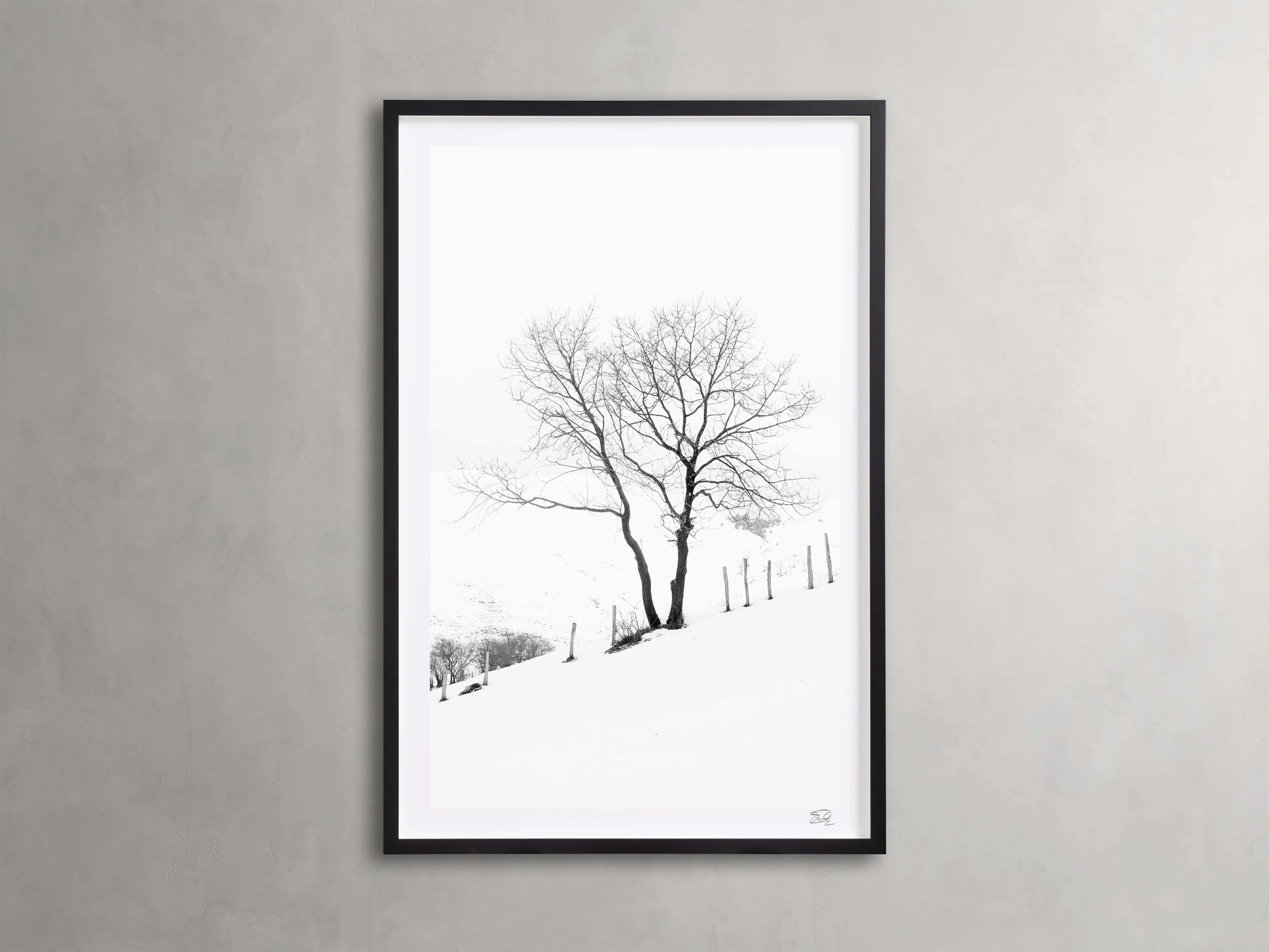 Winter II Framed Print