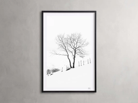 Winter II Framed Print
