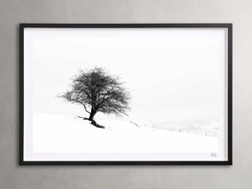 Winter III  Framed Print