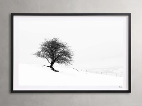 Winter III  Framed Print