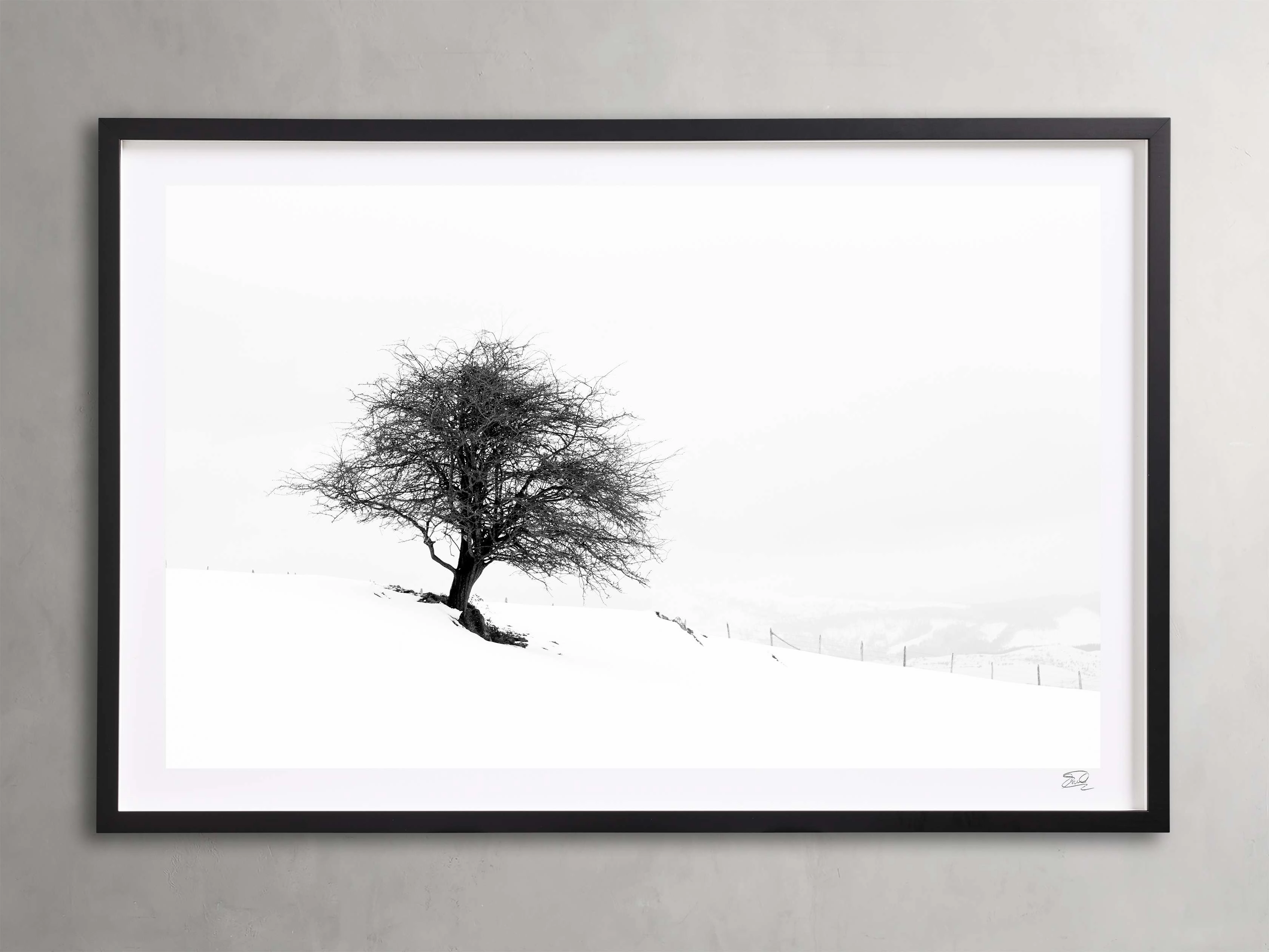 Winter III  Framed Print