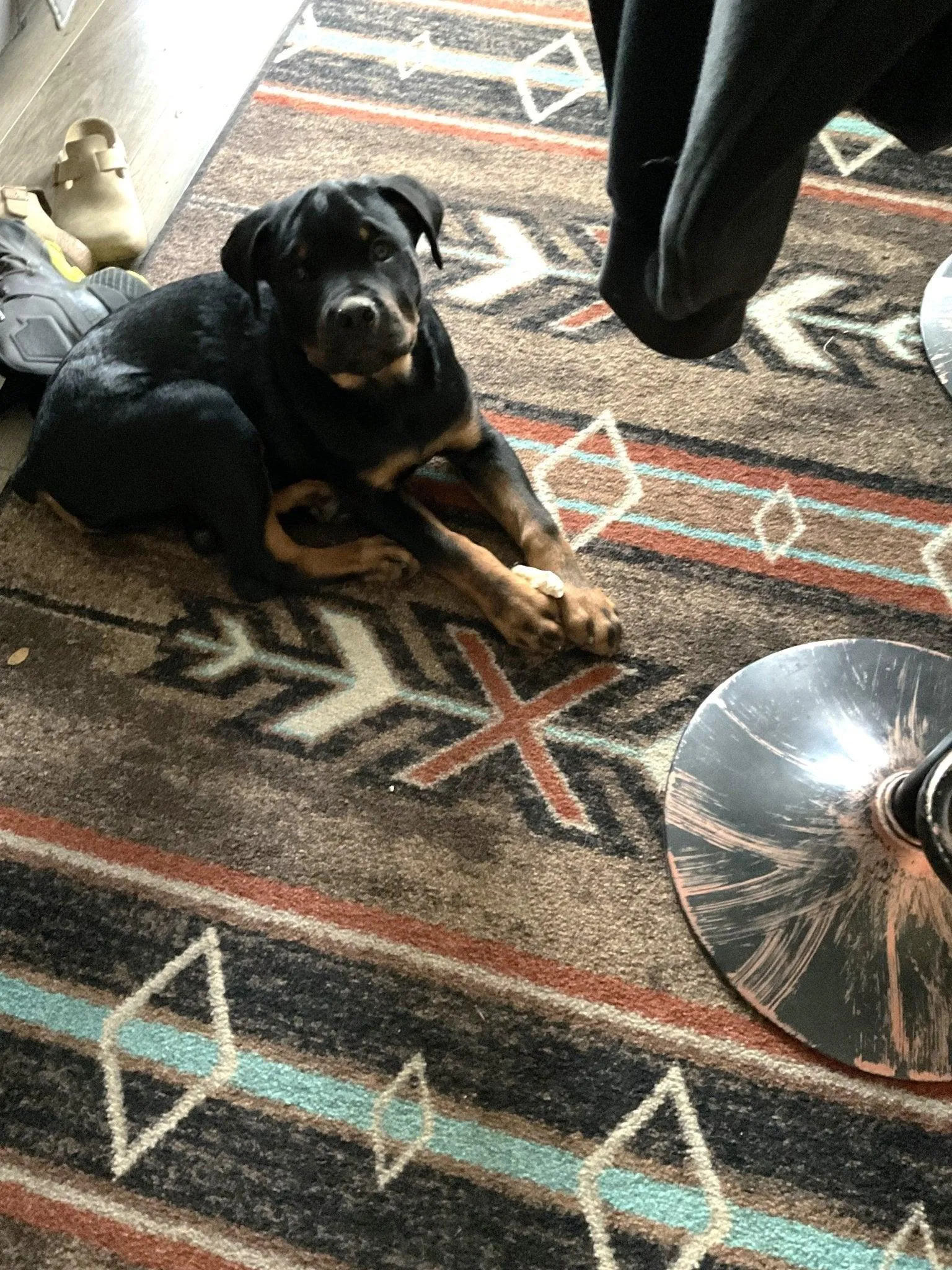 X's & Diamonds Southwestern Area Rugs